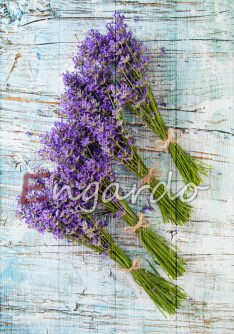 Lavender on wood