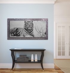 Animali