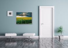 Campagna
