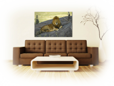 Animali