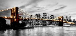NY14