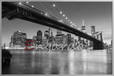 NY83