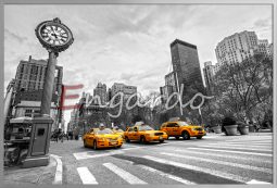 NY85