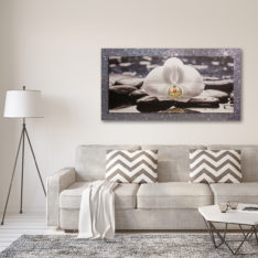 Fiori e Zen